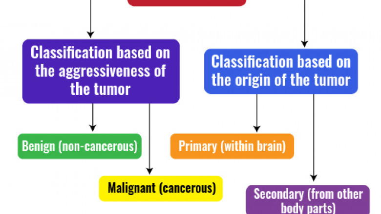 Prediction of glioblastoma survival using techniques based on pre-operative brain MRI imaging PhD research directions for 2022