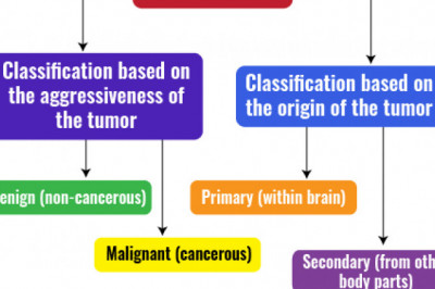 Prediction of glioblastoma survival using techniques based on pre-operative brain MRI imaging PhD research directions for 2022