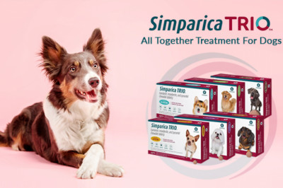 Simparica Trio for Dogs: 3-in-1 Advanced Treatment