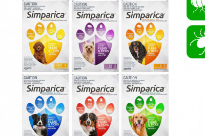SIMPARICA Flea and Tick treatment 3 Chews for Dogs All Sizes