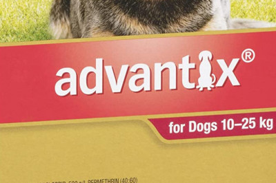 Advantix Flea, Tick & Biting Insect Control for Large Dogs, Red, 6 Pack