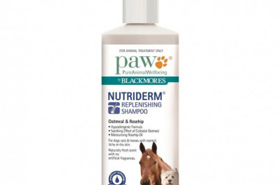 PAW Skin Care Nutriderm Replenishing Shampoo for Dogs and Cats 500 mL