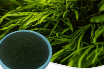 The Advantage of organic superfood powder