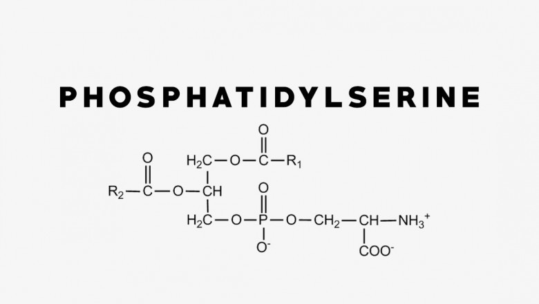 The Phosphatidylserine supplements are derived from cows' brain cells.