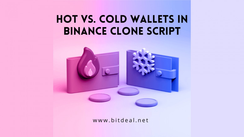 Hot vs. Cold Wallets In Binance Clone Script
