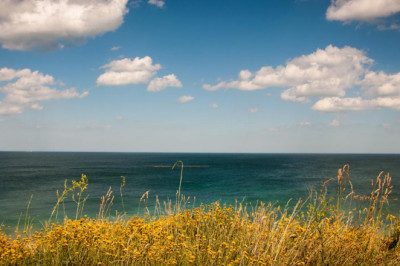 the 12 best download lagu accounts to follow on twitter