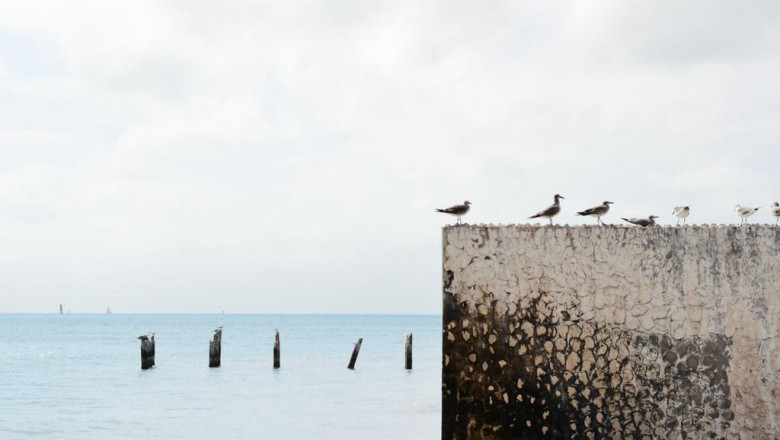 what to think about when alloting your seo budget