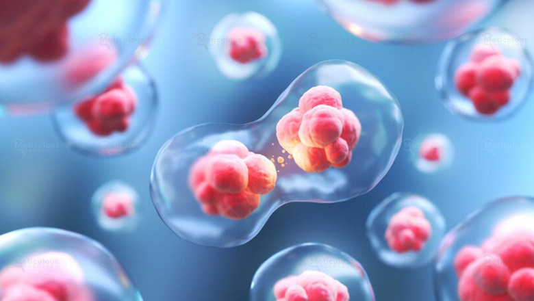 Competent Cells: Overview of Types, Application and Industry News