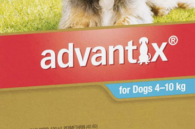 Advantix Flea and Tick Control for Medium Dogs Aqua 6 Pack