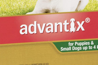 Advantix Flea and Tick Control for Small Dogs, Green, 6 Pack