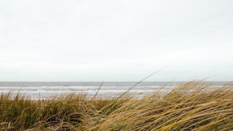 cfibre ftth cell phone repair