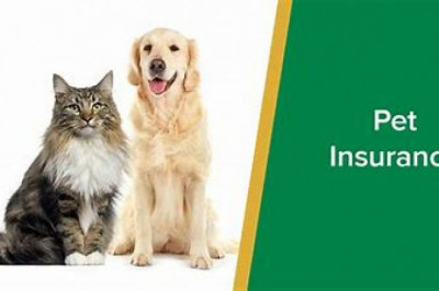 Global Pet Insurance Market is expected to grow with an anticipated CAGR of more than 10% in 2026