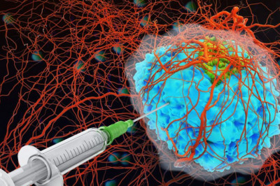 The Treatment Of Disease With Immunotherapy Drugs Or Biological Therapy Involves Activating Or Suppressing The Immune System.