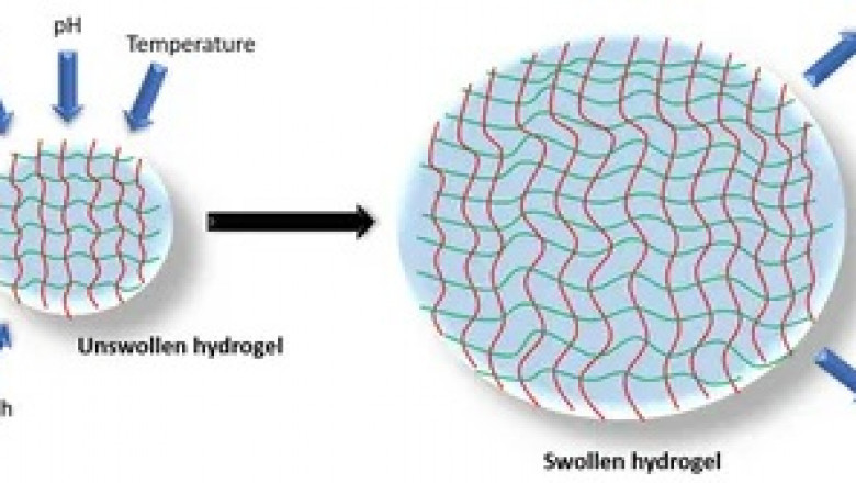 Global Hydrogel-Based Drug Delivery System Market - Size, Share, Growth, Trends, and Forecast, 2022-2030