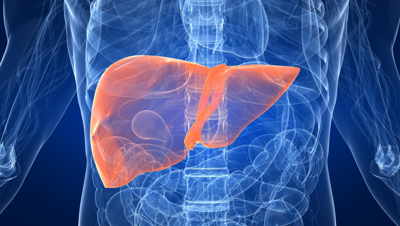 Liver cancer therapeutics Market Regional Analysis