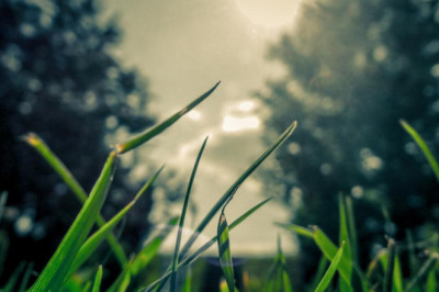 8 effective quicksilver elevator pitches