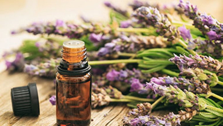 Essential oils for Muscle Pain