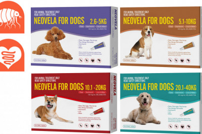 Neovela Heartworm and Flea treatment 4 Pipettes for Dogs