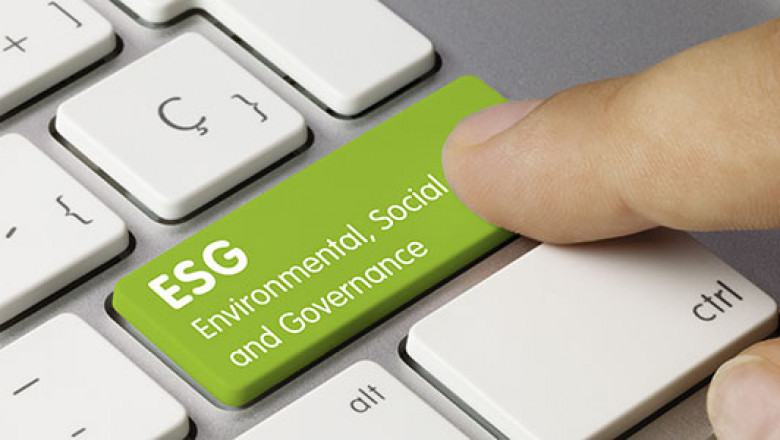 What Does An ESG Score Really Say About A Company?