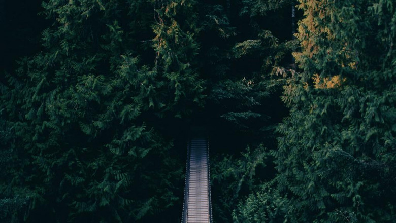 5 killer quora answers on meogtwigeomjeungsaiteu