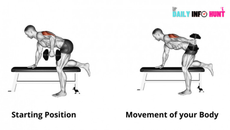 Lateral Head Tricep Exercises