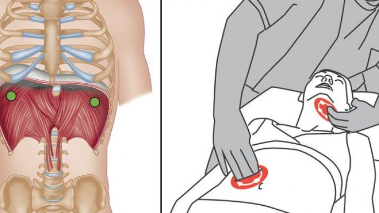 Diaphragm Pacing Therapy System Market Research Report - Competitive Analysis and Forecast period during 2022-2028