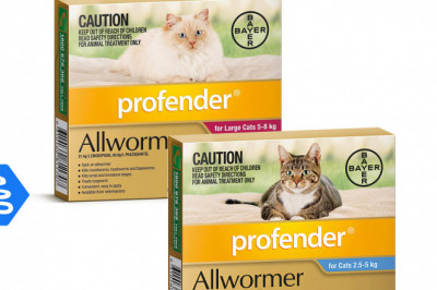 Profender Allwormer for Cats to Control and Treat Worms