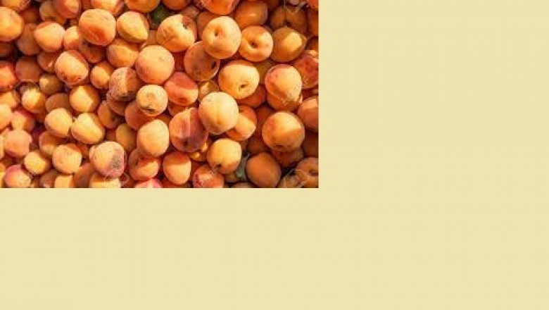 global Fresh Apricots market Research Report : Ken Research