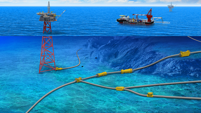Shallow Water Decommissioning Service Market Size, Share &amp; Industry Trends Analysis Report By Organization Size 2022 - 2027