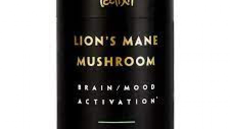 Top Reasons to Incorporate Lions Mane Powder Into Your diet