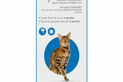 Buy Bravecto Spot On For Medium Cats (2.8 - 6.25 Kg) Blue