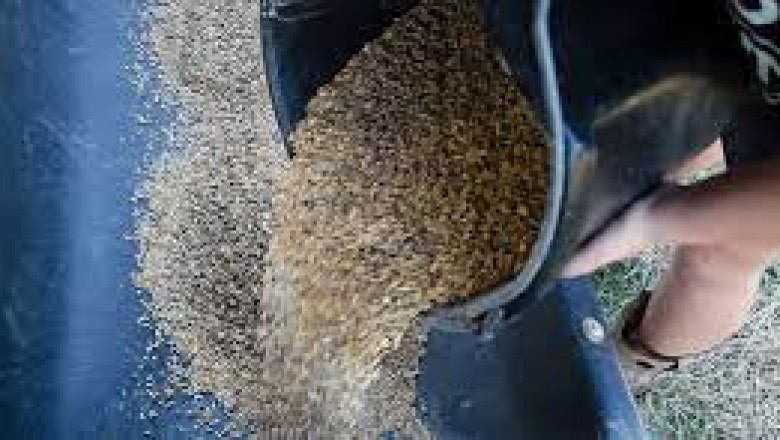 Direct-Fed Microbials Market Global Production, Demand and Business Outlook 2022