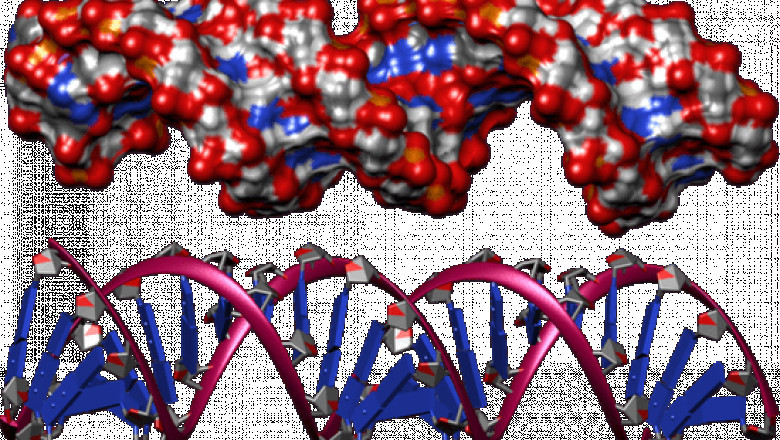 Key Drivers of Isothermal Nucleic Acid Amplification Technology Market Growth