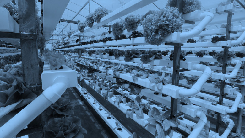 Vertical Farming Market Growth Prospects: 2026 | Size, Share, Trends