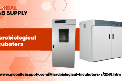 Microbiological Incubators: What Are They and How Will They Help You Grow Your Business?