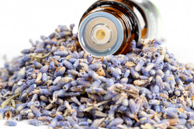 Factors To Consider Before Buying A Lavender Essential Oil