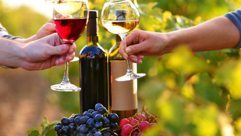 Adelaide Wine Tours