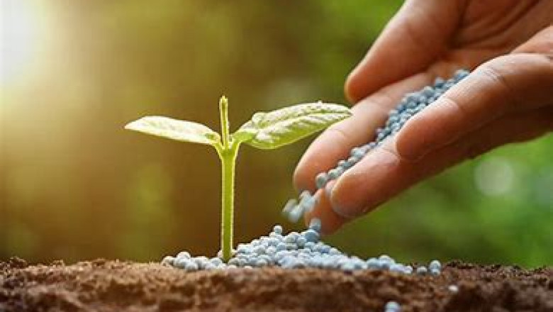 Global Pest Control Market is expected to have a CAGR of over 5% in 2027