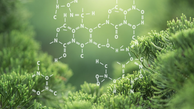 Organic Chemicals Market: Trends, Share, Size, Growth, Opportunities and Forecast 2022-2028
