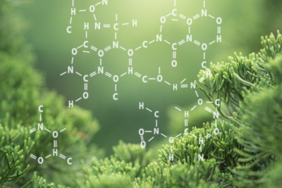 Organic Chemicals Market: Trends, Share, Size, Growth, Opportunities and Forecast 2022-2028