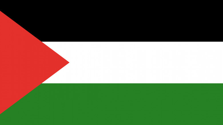 Palestine legalization