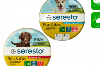 SERESTO- A Dog Collar for Flea and Tick protection