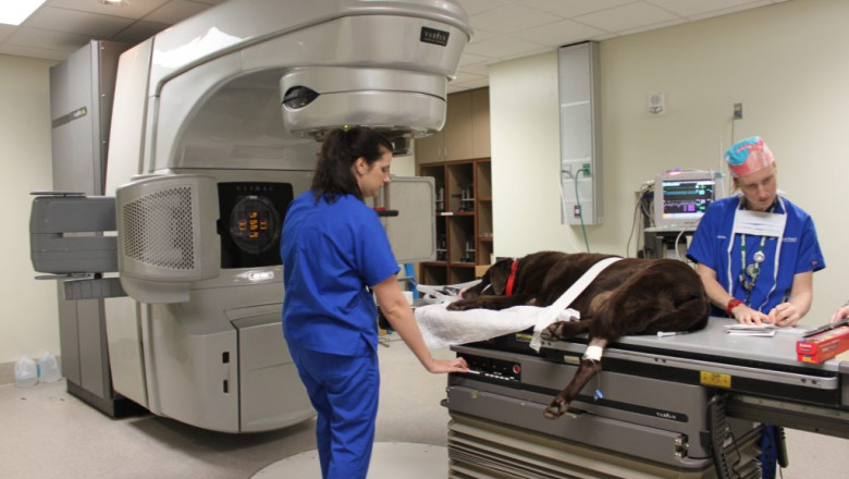 Veterinary Imaging Market Restraints