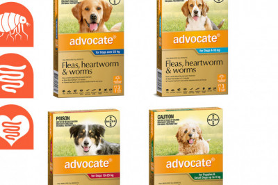 ADVOCATE Flea Heartworm and Worm Control 3 Pipettes for Dogs