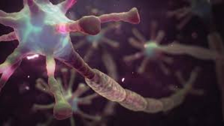 Chronic Inflammatory Demyelinating Polyneuropathy (CIDP) Market Global Insights and Top Manufacturers 2022