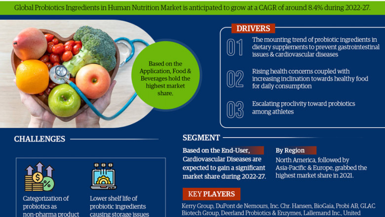 Global Probiotics Ingredients in Human Nutrition Market: Advanced Technologies and Growth Opportunities to Boost Industry Economy: