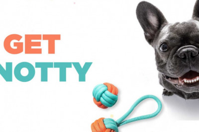 Pet Store Online: Know The Best Pet Store Online in India