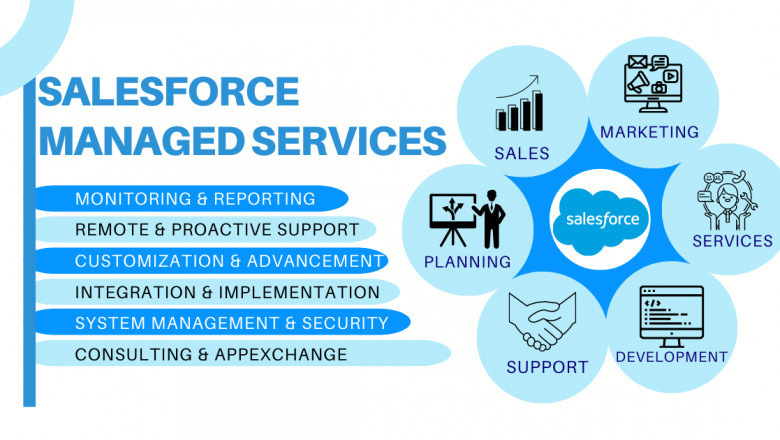 Salesforce Managed Services: Overview