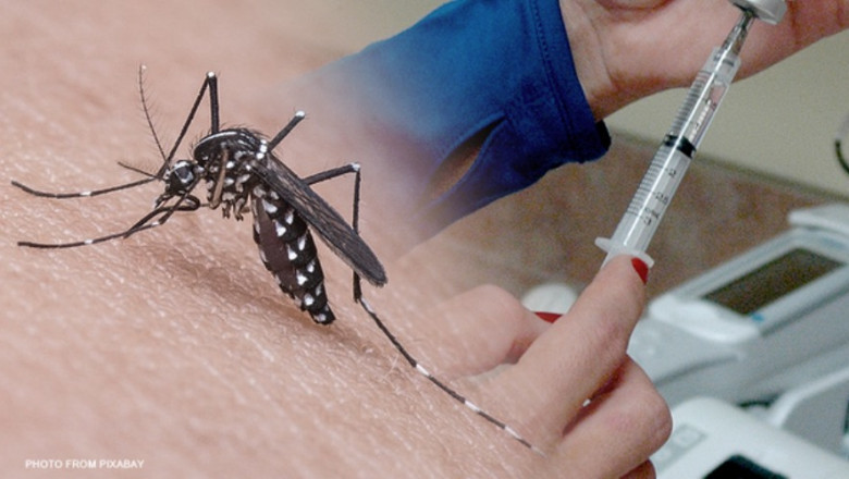 What Are the Possible Side Effects of the Dengue Vaccine?