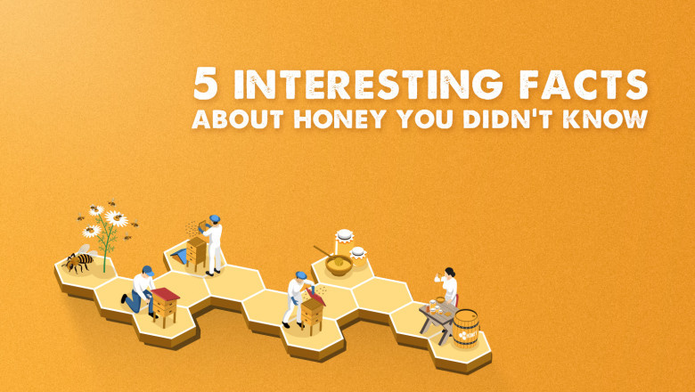 5 Interesting facts about honey you didn't know